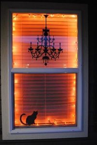 eerie-cat-window