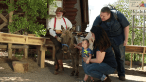Fun Things to do on Father's Day in Colorado Springs